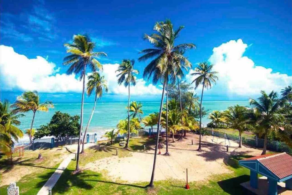 3Bedrm Beach Penthouse With Rooftop Terrace & Wifi Rio Grande Exteriör bild